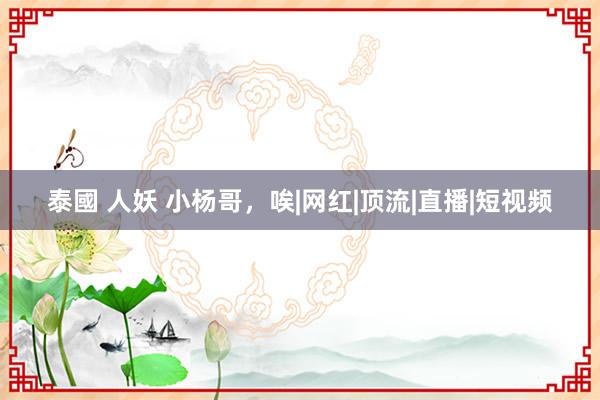 泰國 人妖 小杨哥，唉|网红|顶流|直播|短视频