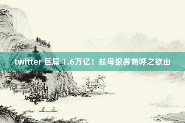 twitter 巨屌 1.6万亿！航母级券商呼之欲出