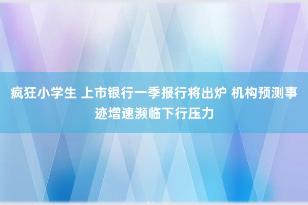 疯狂小学生 上市银行一季报行将出炉 机构预测事迹增速濒临下行压力