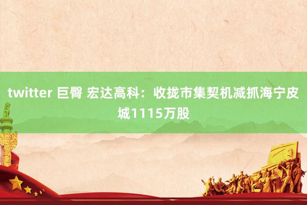 twitter 巨臀 宏达高科：收拢市集契机减抓海宁皮城1115万股
