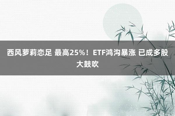 西风萝莉恋足 最高25%！ETF鸿沟暴涨 已成多股大鼓吹