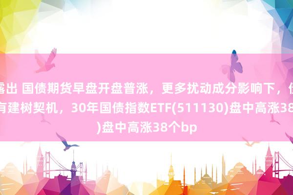 露出 国债期货早盘开盘普涨，更多扰动成分影响下，债市或有建树契机，30年国债指数ETF(511130)盘中高涨38个bp