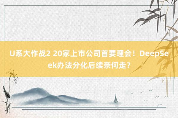 U系大作战2 20家上市公司首要理会！DeepSeek办法分化后续奈何走？