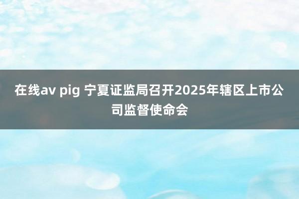 在线av pig 宁夏证监局召开2025年辖区上市公司监督使命会
