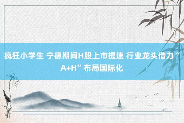 疯狂小学生 宁德期间H股上市提速 行业龙头借力“A+H”布局国际化