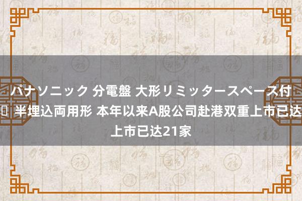 パナソニック 分電盤 大形リミッタースペース付 露出・半埋込両用形 本年以来A股公司赴港双重上市已达21家